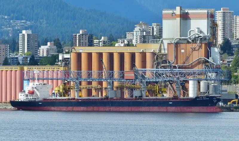 MARATHA PRESTIGE Bulk Carrier IMO 9561332 photo 4