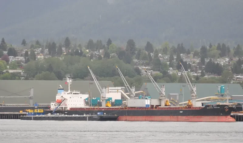 MARATHA PRESTIGE Bulk Carrier IMO 9561332 photo 5