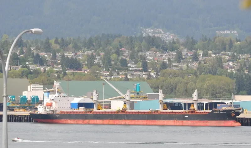 MARATHA PRESTIGE Bulk Carrier IMO 9561332 photo 6
