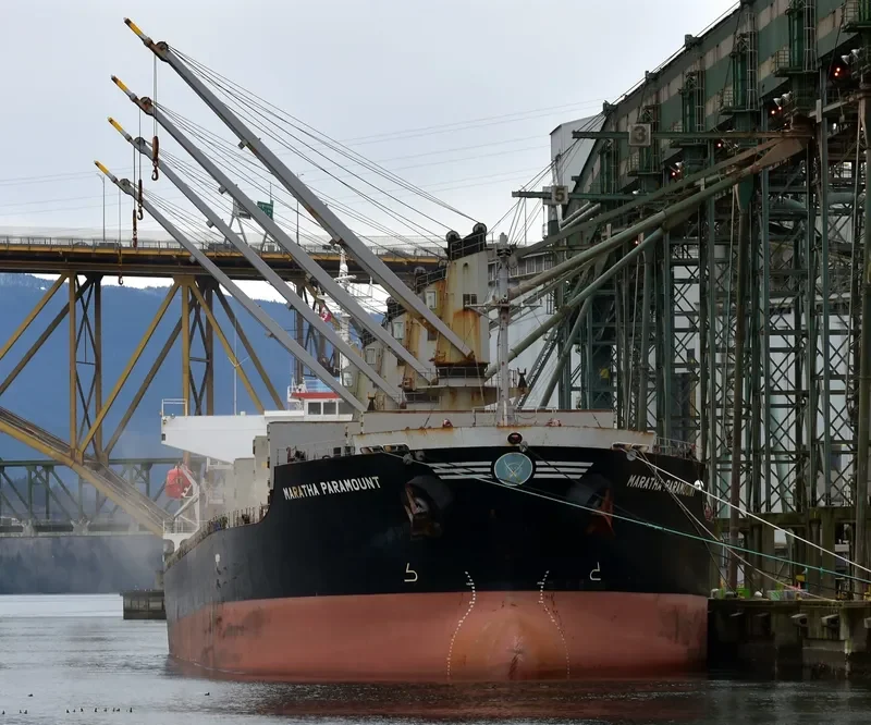 MARATHA PARAMOUNT Bulk Carrier IMO 9561344