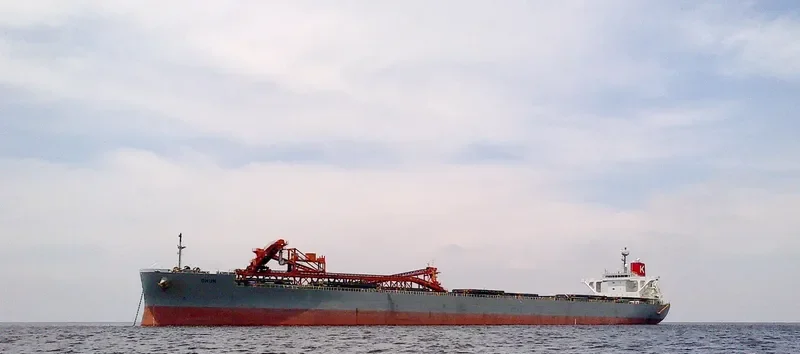 DHUN Bulk Carrier IMO 9561552