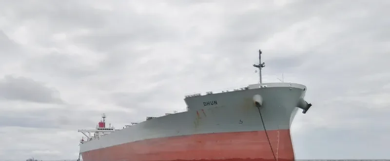 DHUN Bulk Carrier IMO 9561552 photo 2