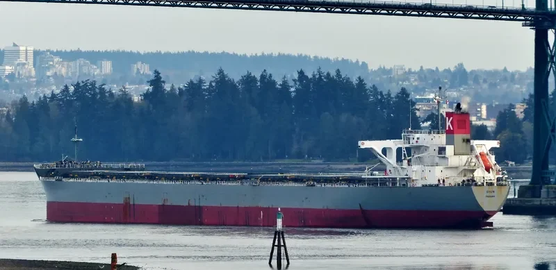 DHUN Bulk Carrier IMO 9561552 photo 5
