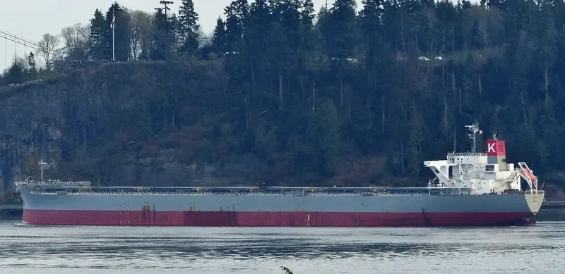 DHUN Bulk Carrier IMO 9561552 photo 6