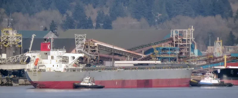 DHUN Bulk Carrier IMO 9561552 photo 7