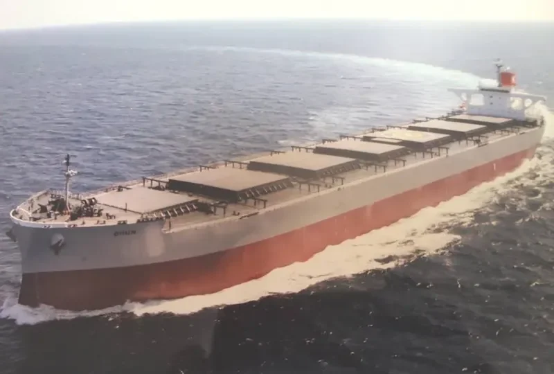 DHUN Bulk Carrier IMO 9561552 photo 9
