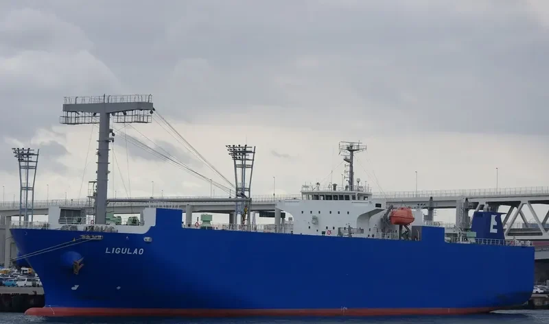 LIGULAO General Cargo IMO 9561605 photo 10