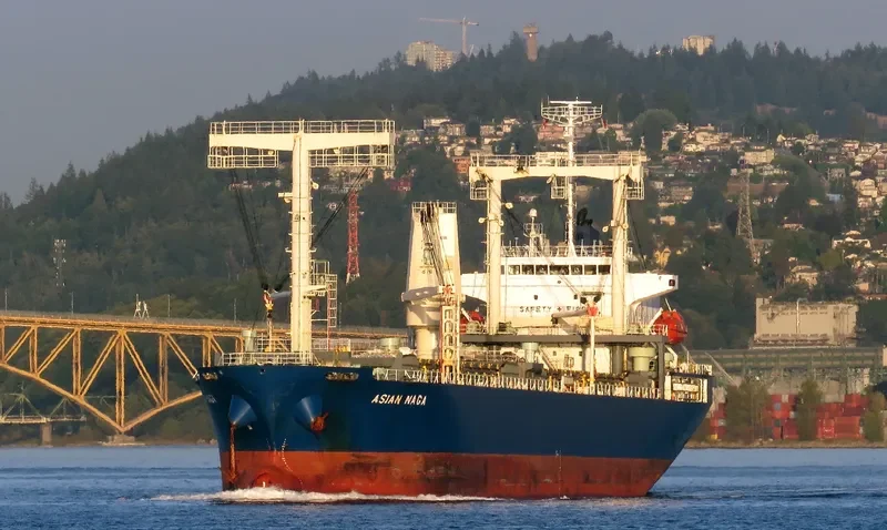 ASIAN NAGA General Cargo IMO 9561631 photo 4
