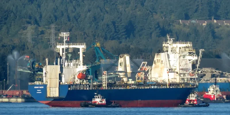 ASIAN NAGA General Cargo IMO 9561631 photo 5