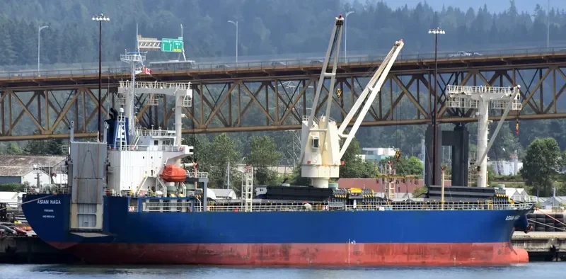 ASIAN NAGA General Cargo IMO 9561631 photo 7