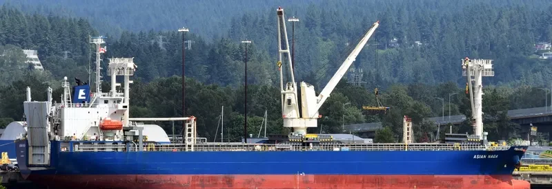 ASIAN NAGA General Cargo IMO 9561631 photo 8