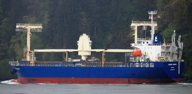 ASIAN NAGA General Cargo IMO 9561631 photo 9