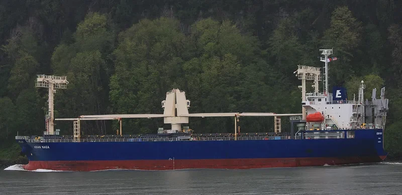 ASIAN NAGA General Cargo IMO 9561631 photo 10