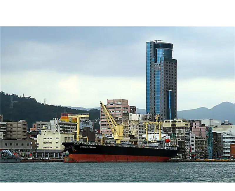 GRANDE FORTUNA General Cargo IMO 9561643