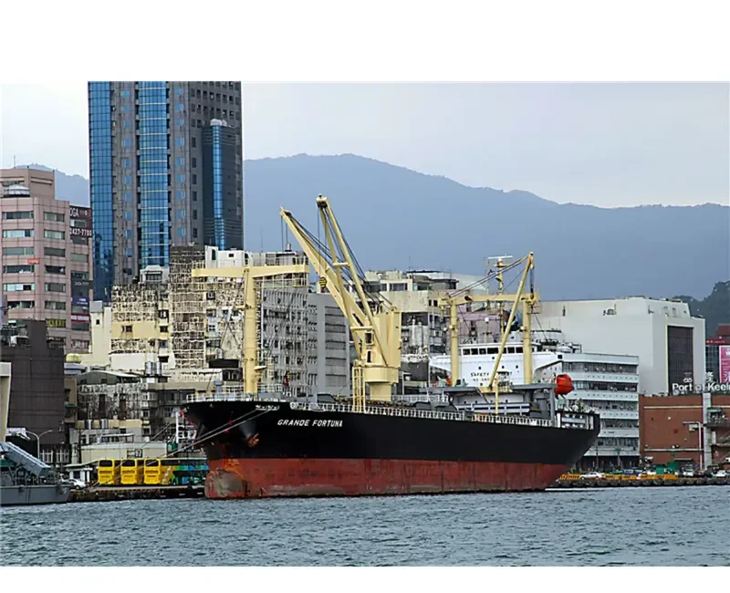 GRANDE FORTUNA General Cargo IMO 9561643 photo 2