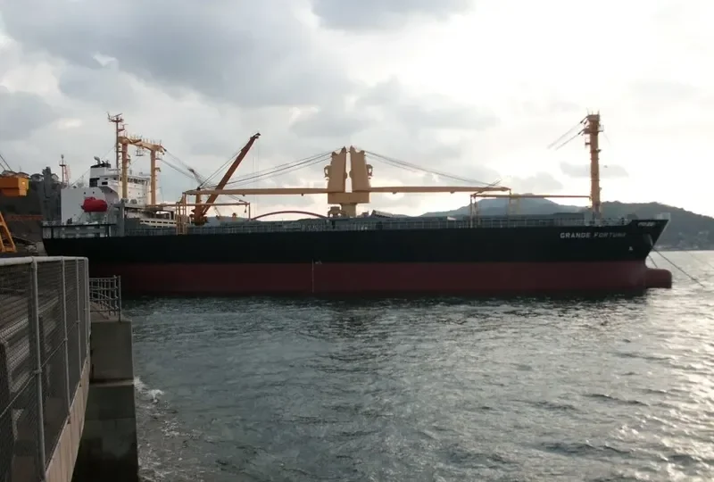 GRANDE FORTUNA General Cargo IMO 9561643 photo 5