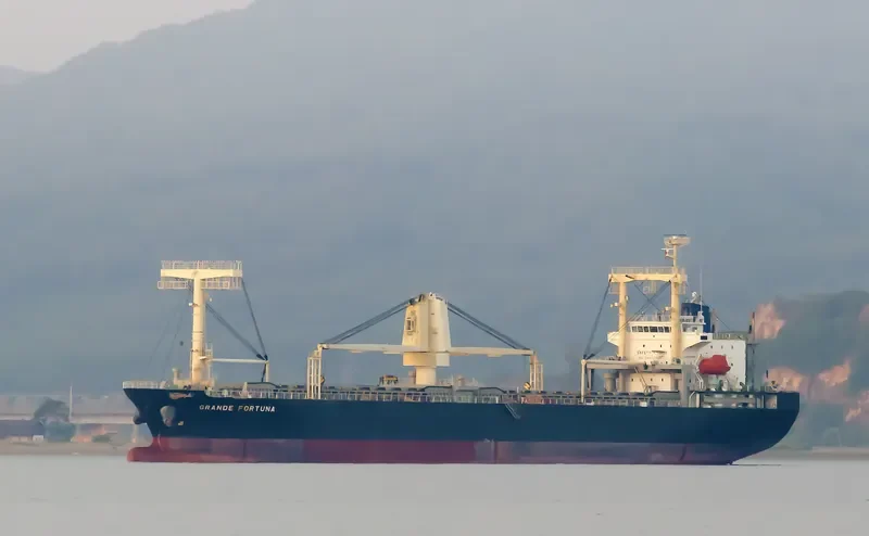 GRANDE FORTUNA General Cargo IMO 9561643 photo 6