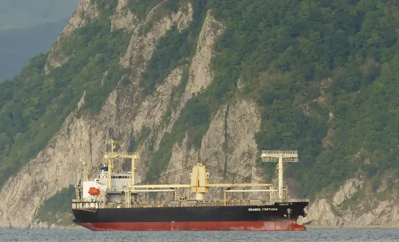 GRANDE FORTUNA General Cargo IMO 9561643 photo 8