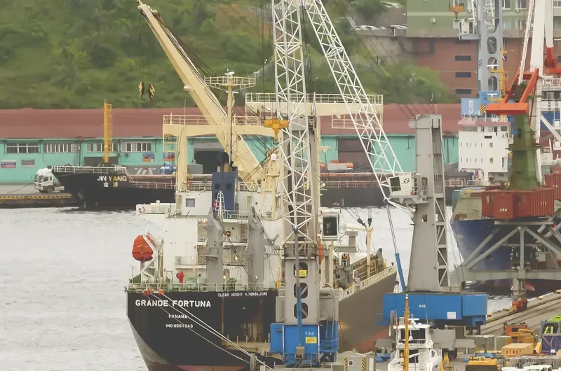 GRANDE FORTUNA General Cargo IMO 9561643 photo 10