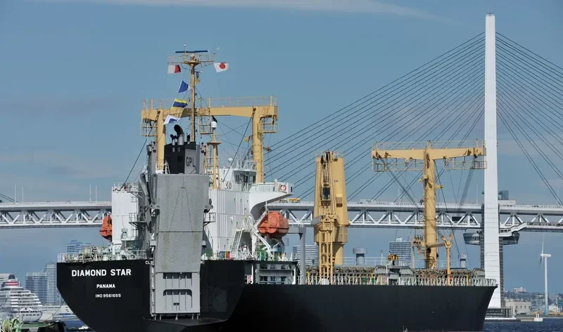 DIAMOND STAR General Cargo IMO 9561655 photo 3