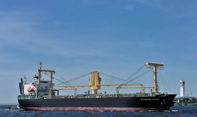 DIAMOND STAR General Cargo IMO 9561655 photo 4