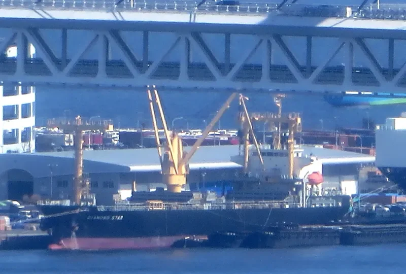 DIAMOND STAR General Cargo IMO 9561655 photo 5