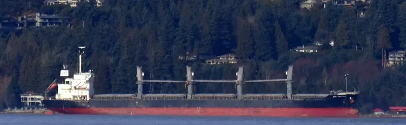 MARIA 1921 Bulk Carrier IMO 9561796