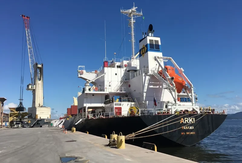 ARKI Bulk Carrier IMO 9561801