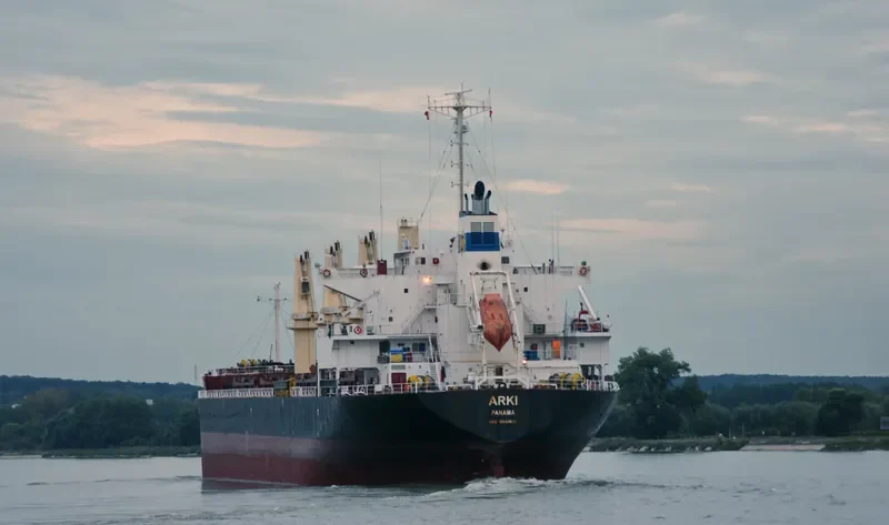 ARKI Bulk Carrier IMO 9561801 photo 4