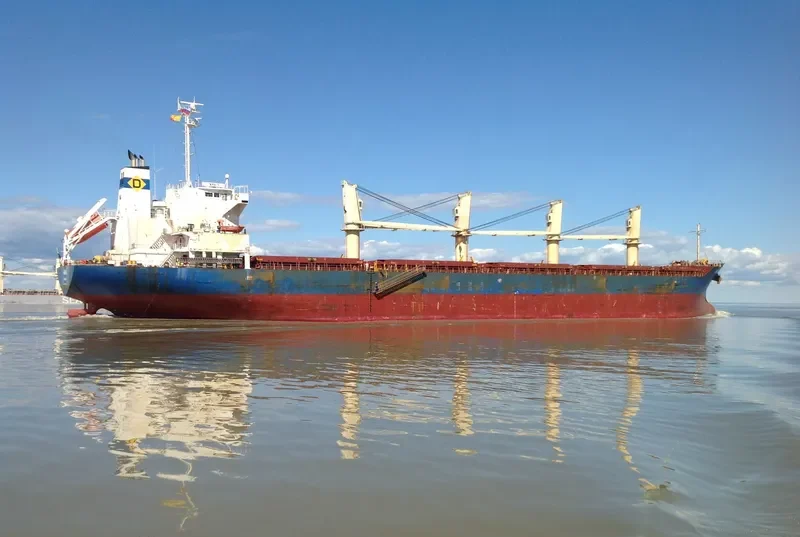 ARKI Bulk Carrier IMO 9561801 photo 6