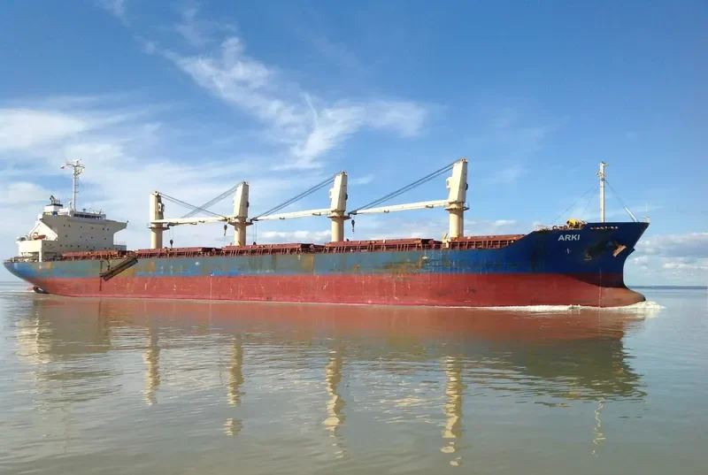 ARKI Bulk Carrier IMO 9561801 photo 7