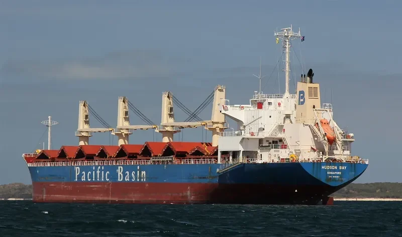 ARKI Bulk Carrier IMO 9561801 photo 8