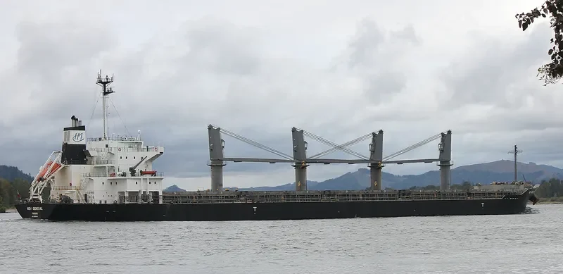 NEW GENERAL Bulk Carrier IMO 9561813