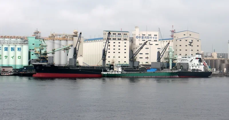 NEW GENERAL Bulk Carrier IMO 9561813 photo 2