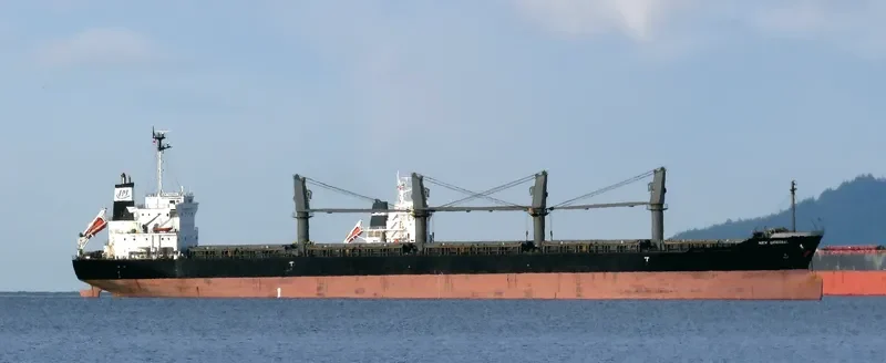 NEW GENERAL Bulk Carrier IMO 9561813 photo 4
