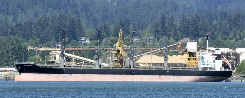 NEW GENERAL Bulk Carrier IMO 9561813 photo 6