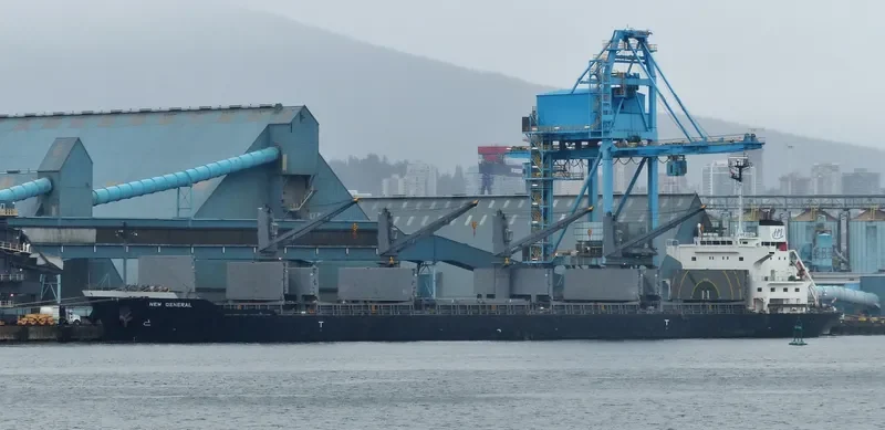 NEW GENERAL Bulk Carrier IMO 9561813 photo 7