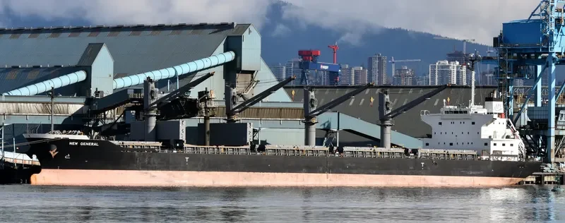 NEW GENERAL Bulk Carrier IMO 9561813 photo 8