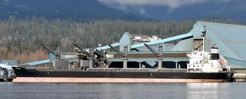 NEW GENERAL Bulk Carrier IMO 9561813 photo 9