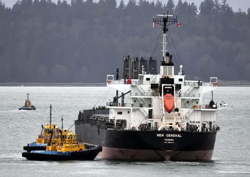 NEW GENERAL Bulk Carrier IMO 9561813 photo 10