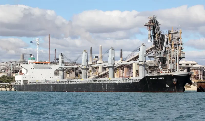 PRIDE Bulk Carrier IMO 9561825 photo 6