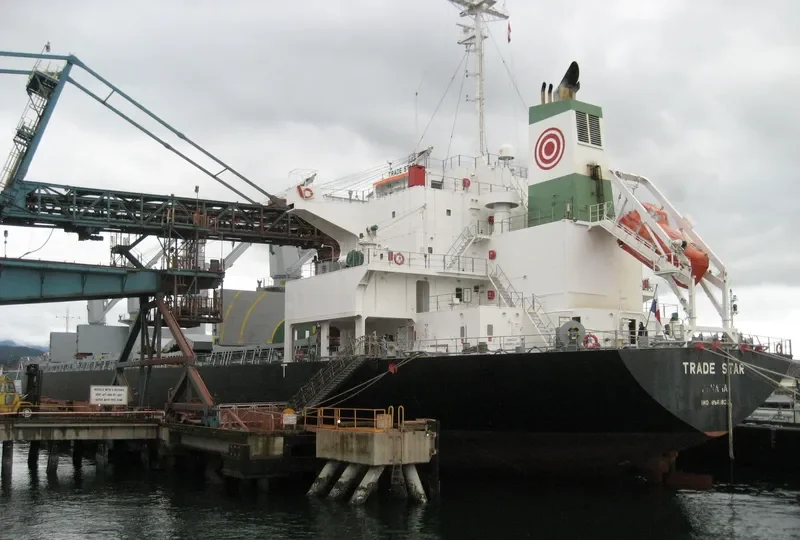 PRIDE Bulk Carrier IMO 9561825 photo 9
