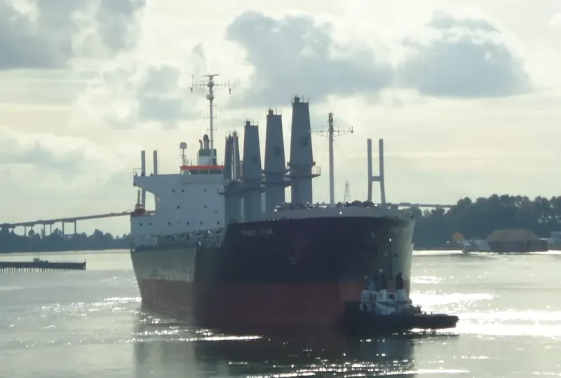 PRIDE Bulk Carrier IMO 9561825 photo 10