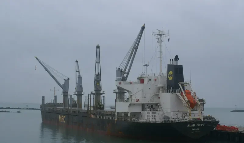 ALAM SERI Bulk Carrier IMO 9561837 photo 2