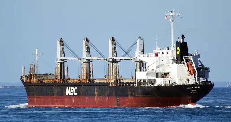 ALAM SERI Bulk Carrier IMO 9561837 photo 3