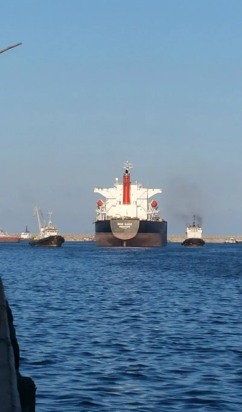 INCE ILGAZ Bulk Carrier IMO 9561863 photo 9