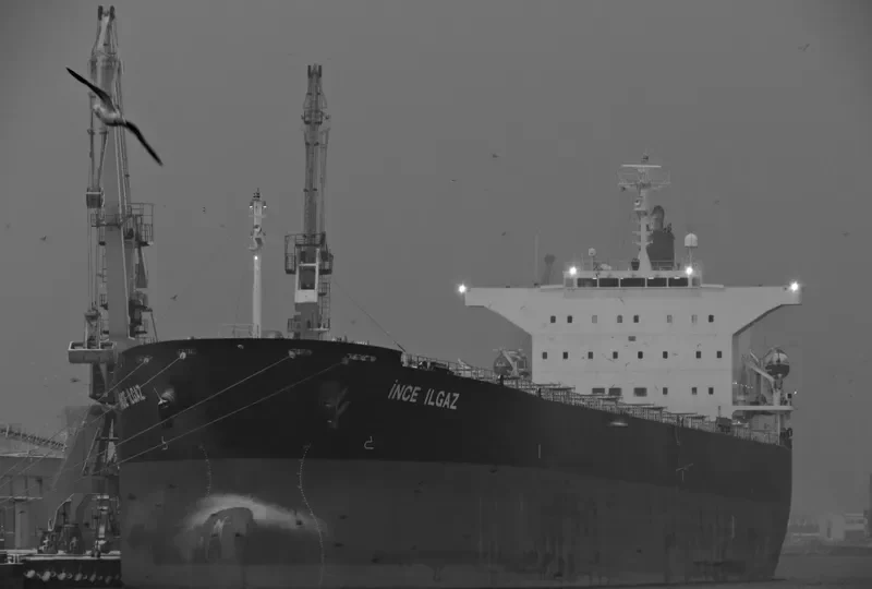 INCE ILGAZ Bulk Carrier IMO 9561863 photo 10