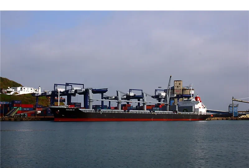 APOGEE SPIRIT Bulk Carrier IMO 9561875 photo 2