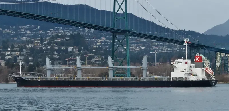 APOGEE SPIRIT Bulk Carrier IMO 9561875 photo 3