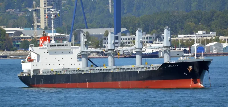 APOGEE SPIRIT Bulk Carrier IMO 9561875 photo 7